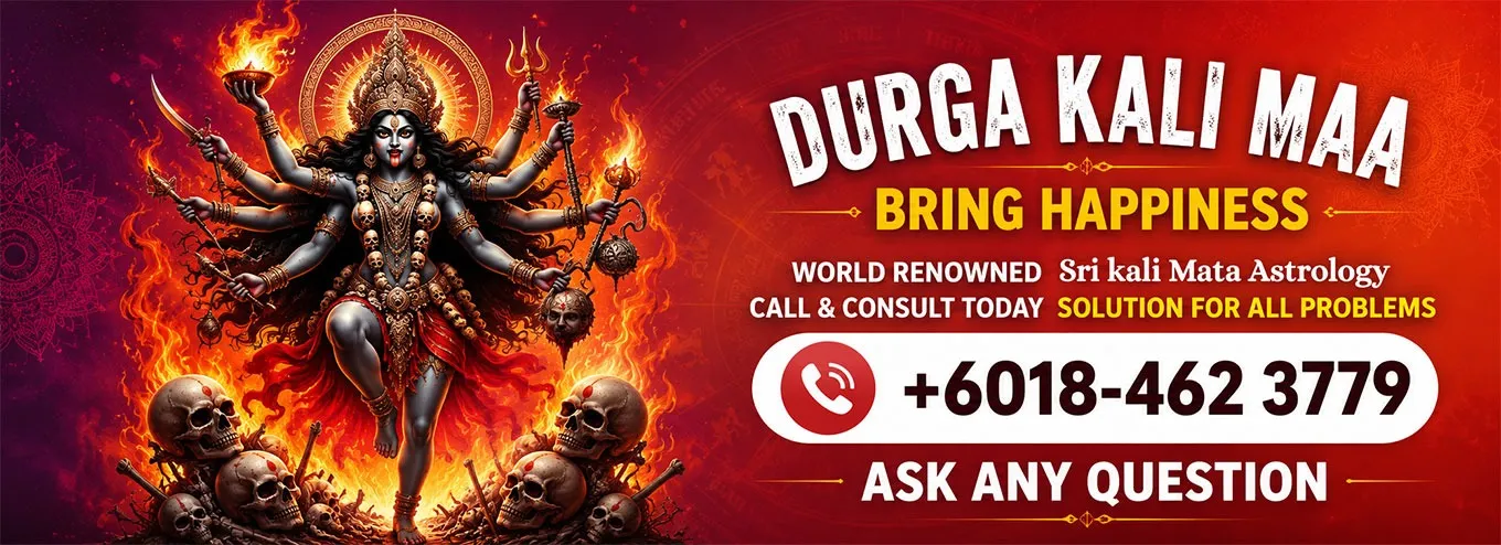 ask any question
